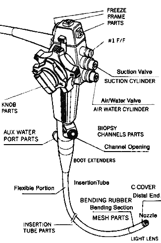 Illustration of the variuos parts of an endoscope.